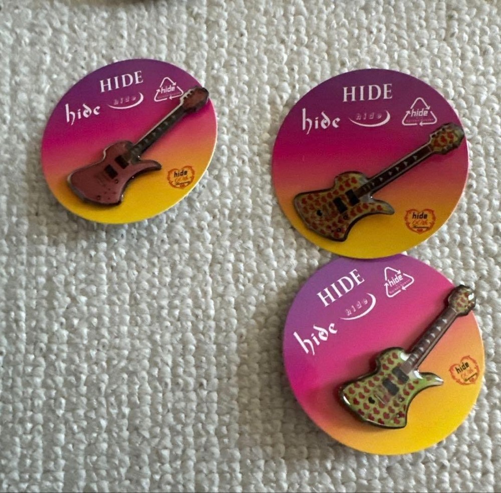 hide☆Pins capsule 10 piece set☆Complete