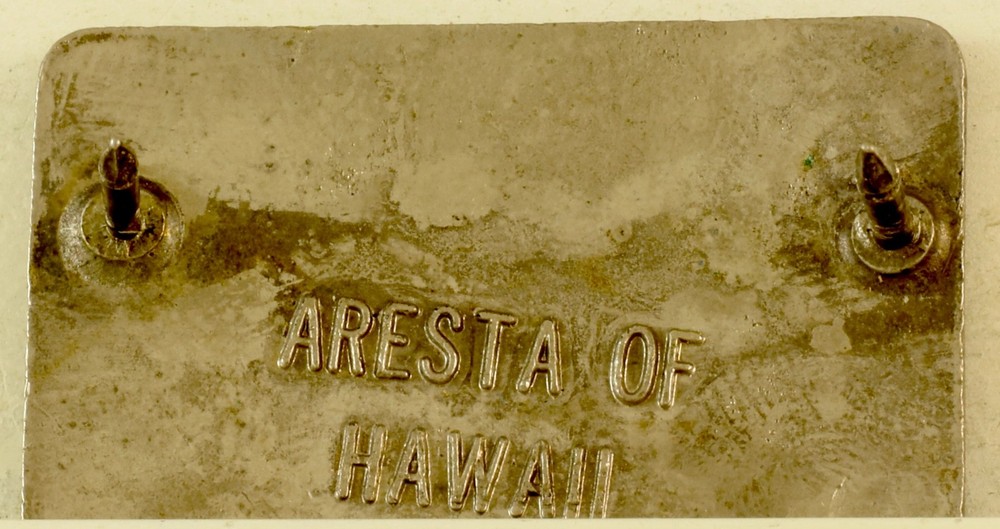 73rd Fighter Squadron Crest DI/DUI CB Aresta HM