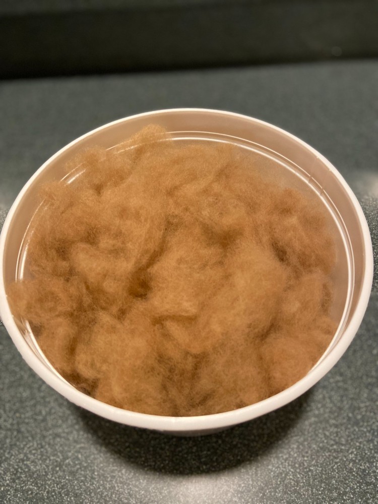 Clean, Beige Alpaca Wool, nearly 1oz.