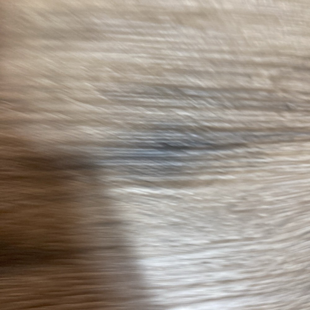 Ridgid 44540 E1491 144-1 Replacement Motor Brush Assembly Set