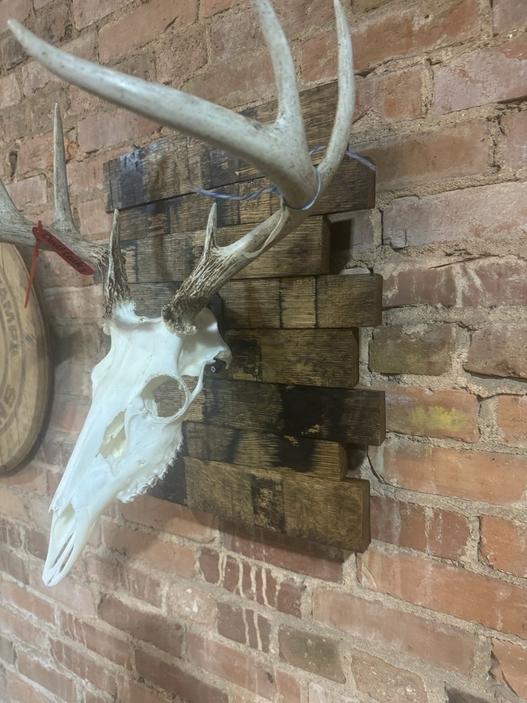 Rustic Bourbon Barrel Broken Stave Skull Plaques “Free Shipping”
