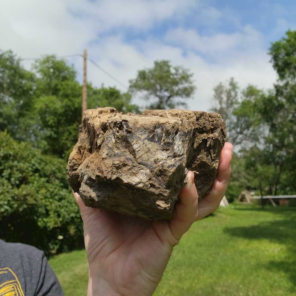 Large Heavy Dinosaur Bone Section - Authentic Fossil - from Hell Creek Formation