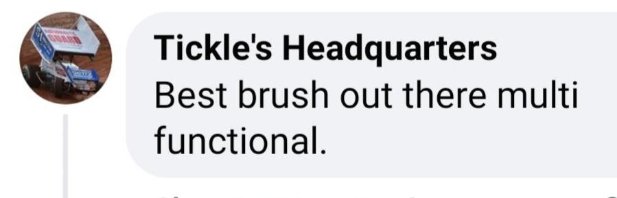 Premium PROFESSIONAL # 4 Outlining & Lettering Quill PRO SERIES Multi Use Brush