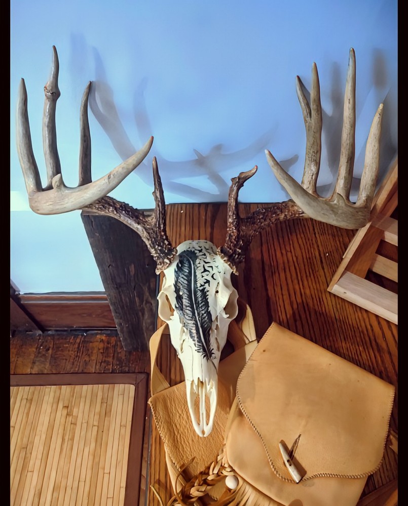 13 Point Ohio Whitetail Deer