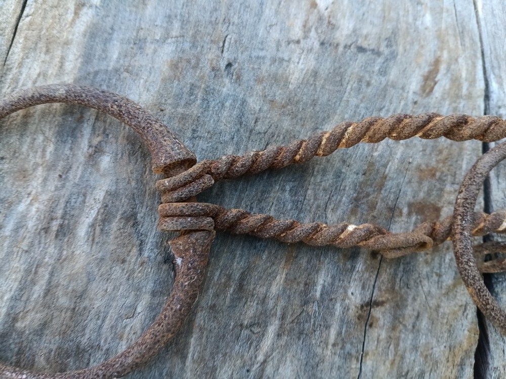 Antique Braided Horse Bit