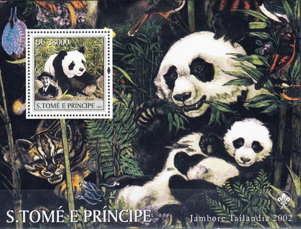 W SAINT-THOMAS 1509 PANDAS SCOUT JAMBOREE