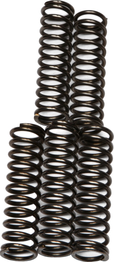 EBC Clutch Spring Set - Clutch Springs - CSK67