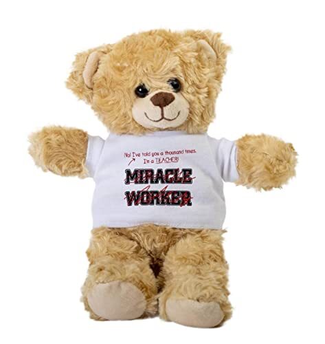 SpreadPassion Teacher Worker Teddy Bear, Gift Stuffed Animal