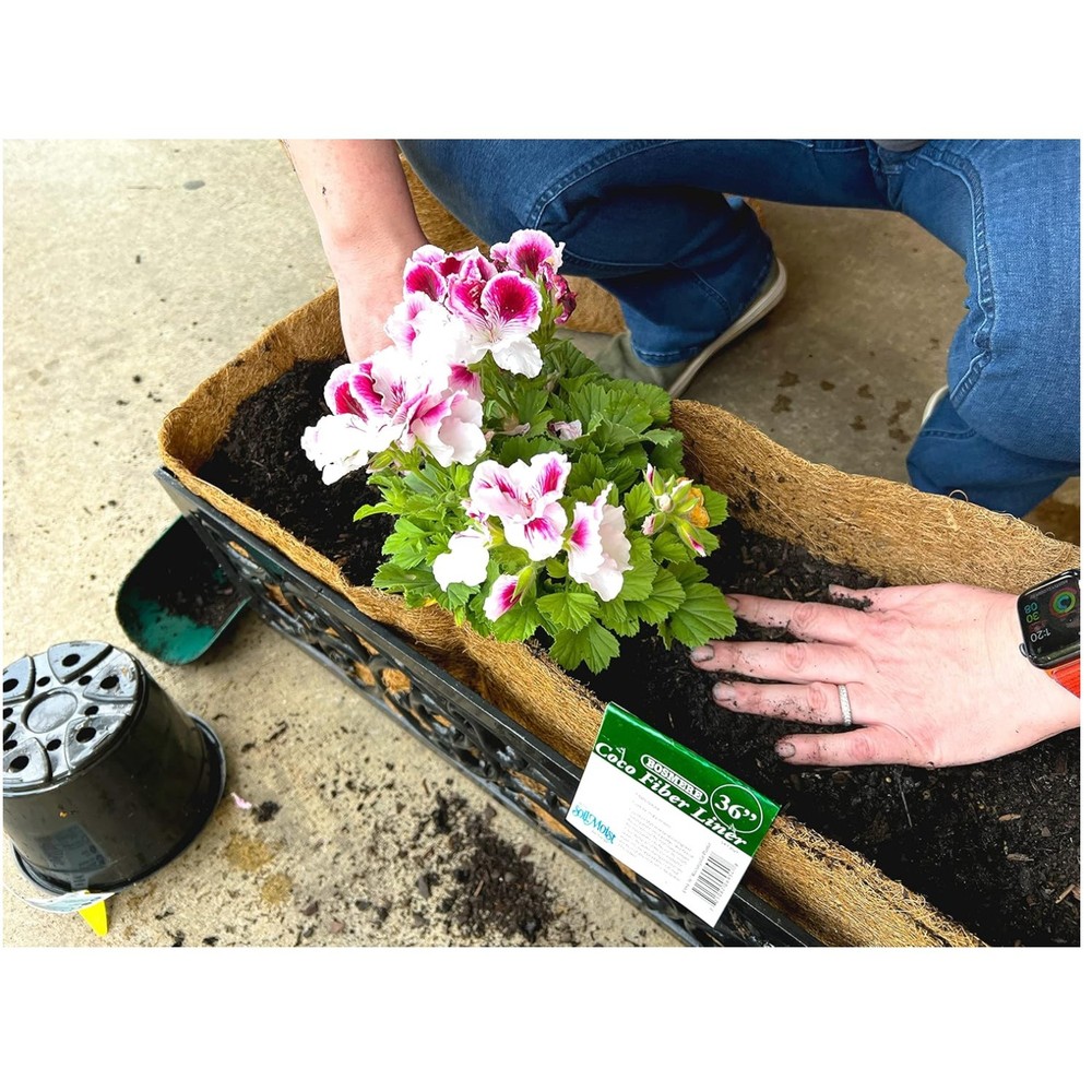 24" Coco Liner with Soil Moist - Window Box Replacement
