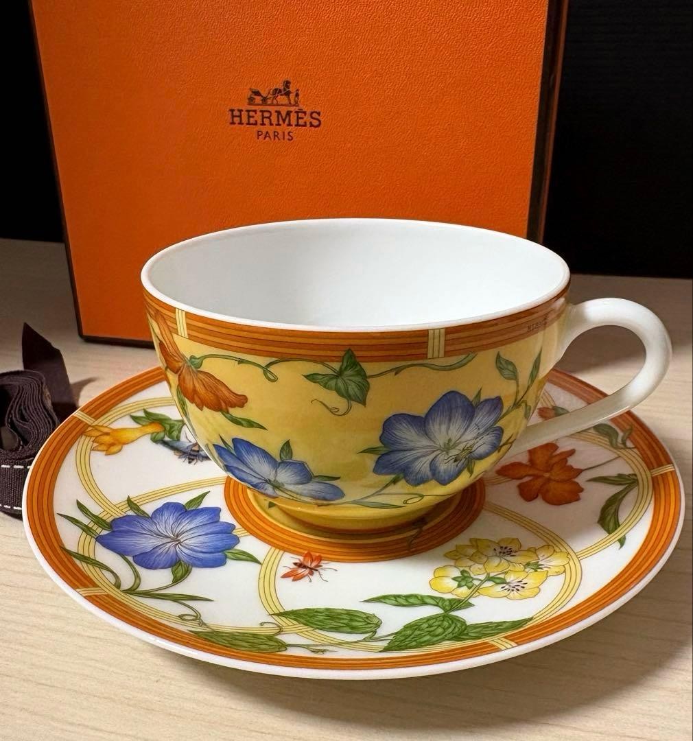 Hermes Siesta Teacup & Saucer Brand New Unused with Original Box Included