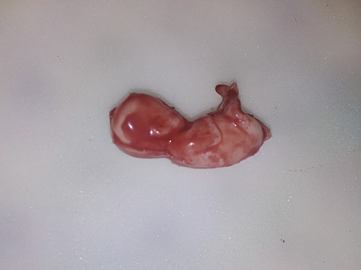 Horror movie prop silicone fetus human baby gore goth freakshow weird