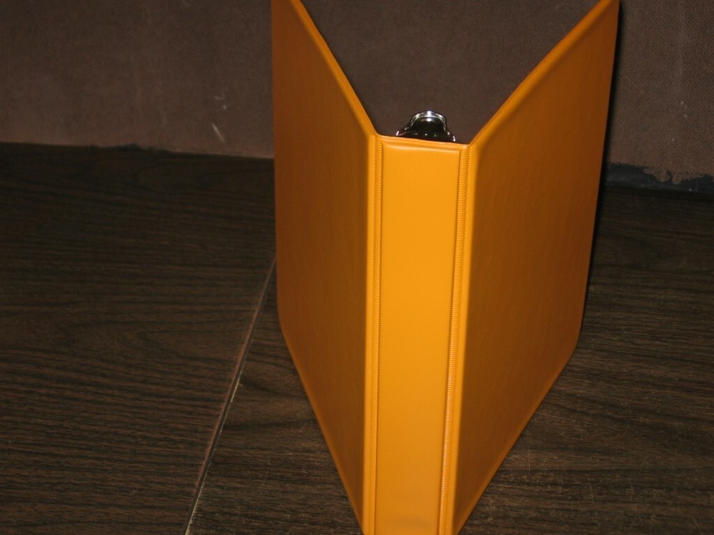 100 Glassine Stock Pages Sunburst Orange Binder Display US Stamp Plate Blocks