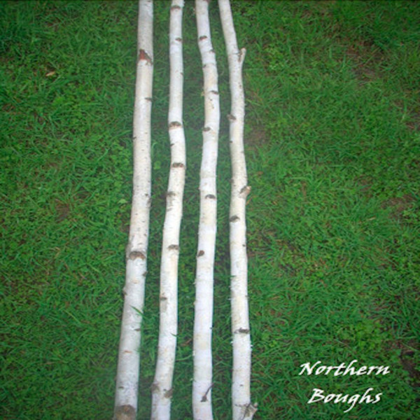 4 Medium White Birch Poles 8'