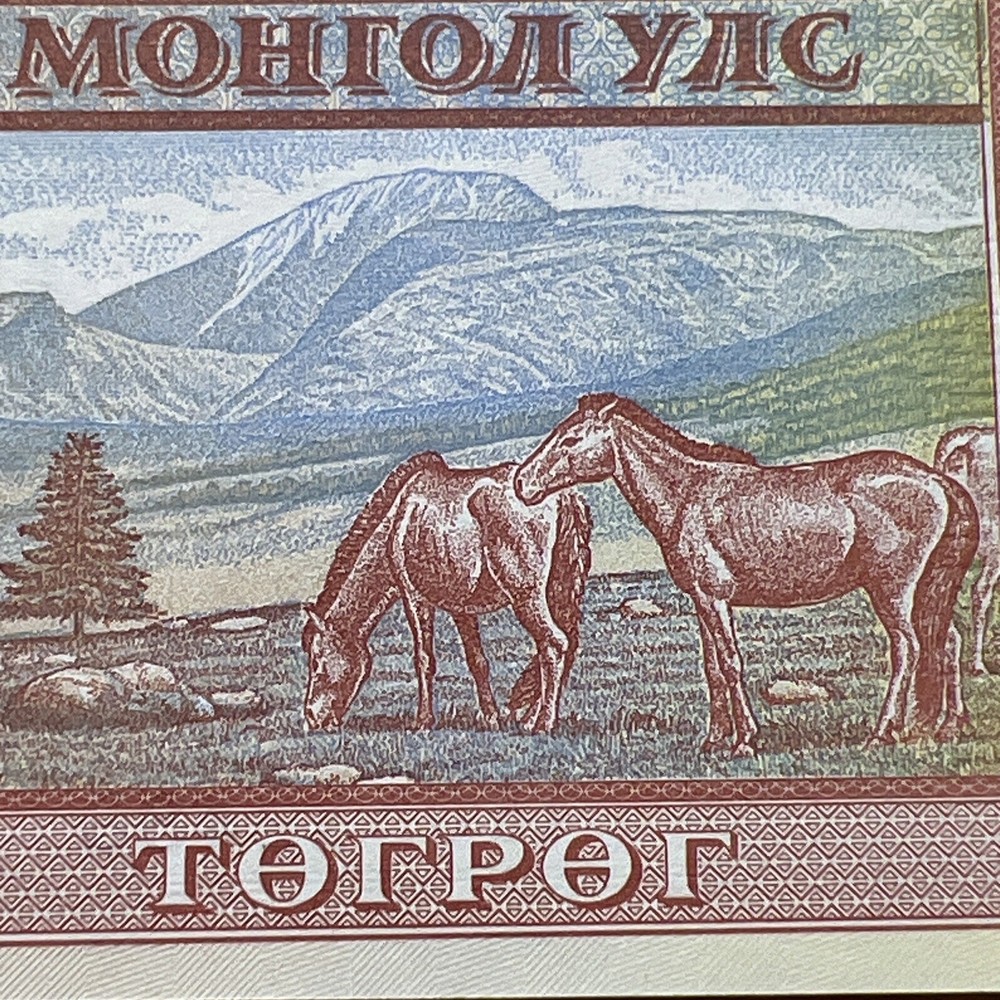 Mongolia Five Tugrik Current Uncirculated Paper Money - Dated 2008