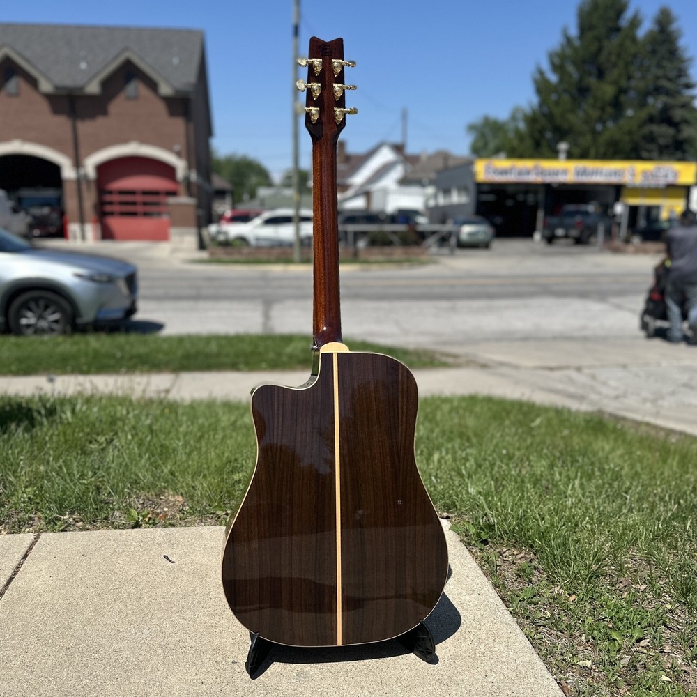 Washburn D10SCE DLK w/ case