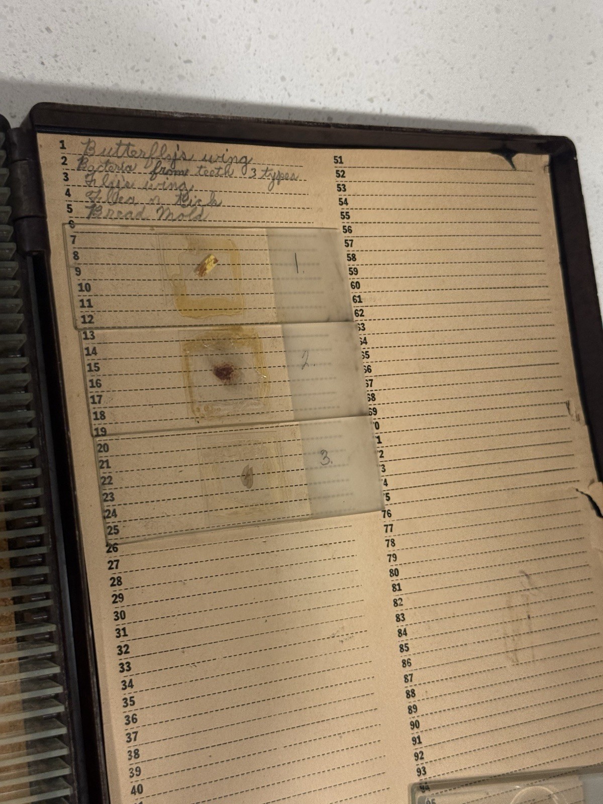 Microslides Glass Microscope Slides Scientific Box Vintage Doctor Memorabilia