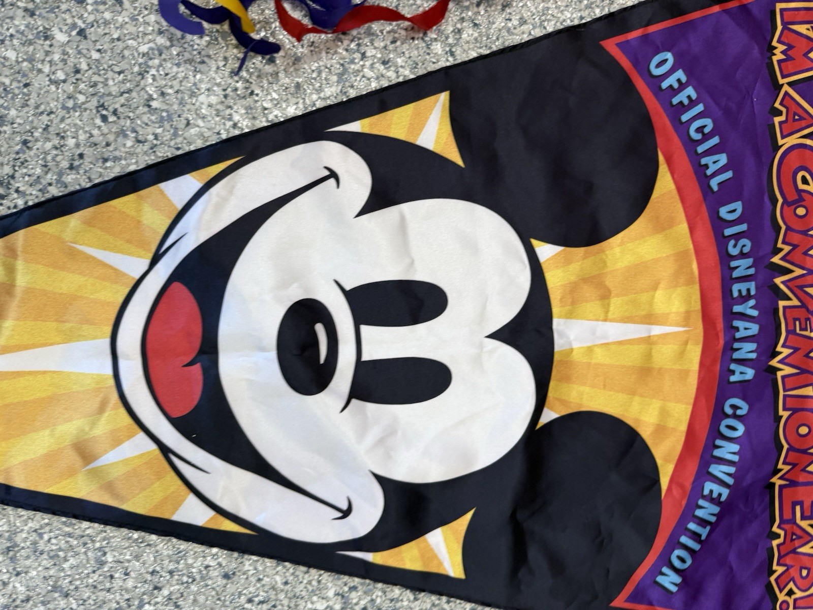 Disneyana Convention 90’s Large Flag Pennant Banner Prop 27”x 39” Conventionear