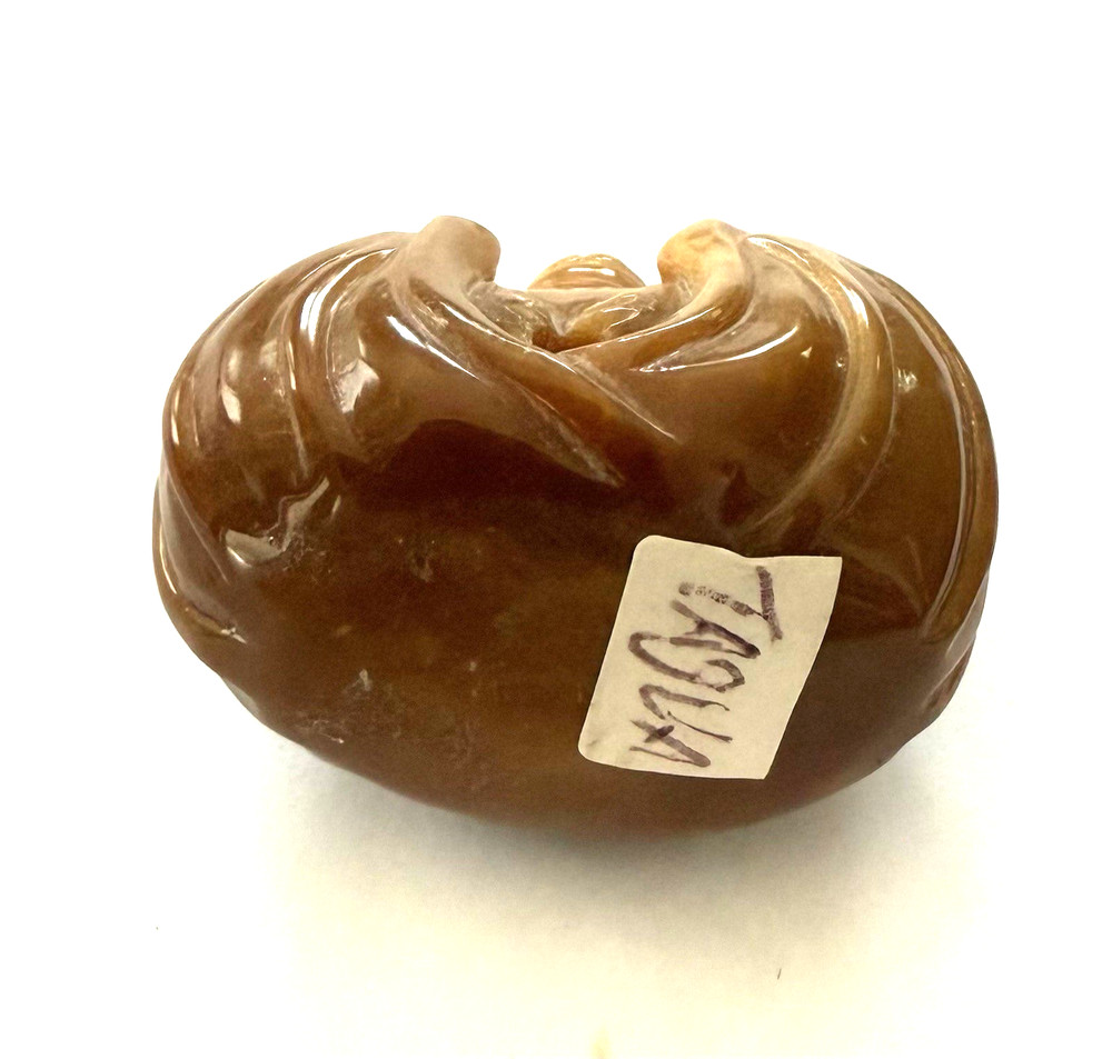 TAGUA Bead for Necklace - Monkey ??