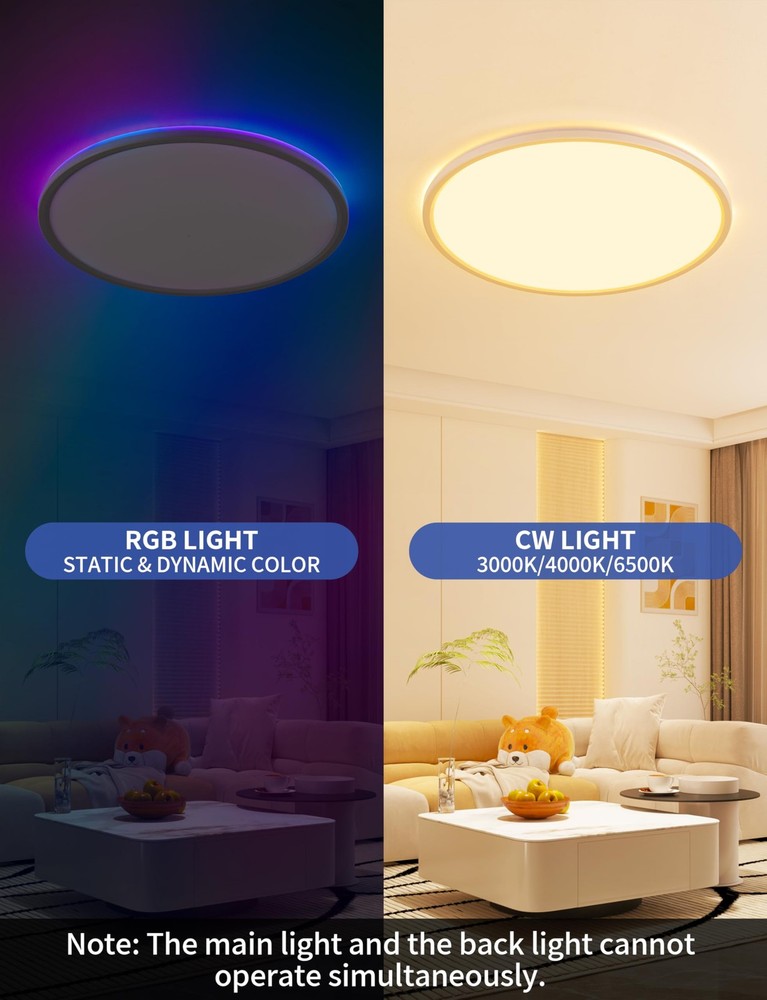 Ceiling Light, RGB Flush Mount Ceiling Light with Remote，Ambient Lighting Fix...