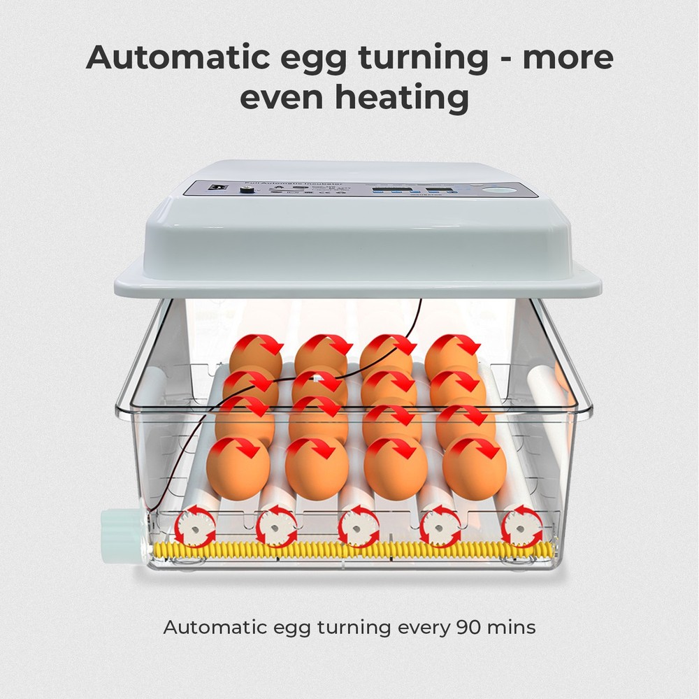 36 Egg Incubator with Auto-Turning, Temperature & Humidity Control Egg Hatcher