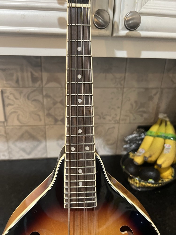 Rogue fine instuments Mandolin