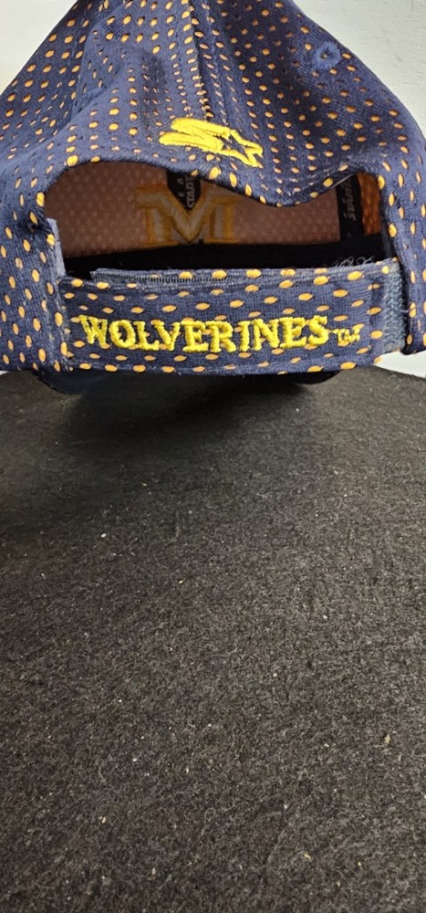 Vintage Michigan Wolverines Starter Hat