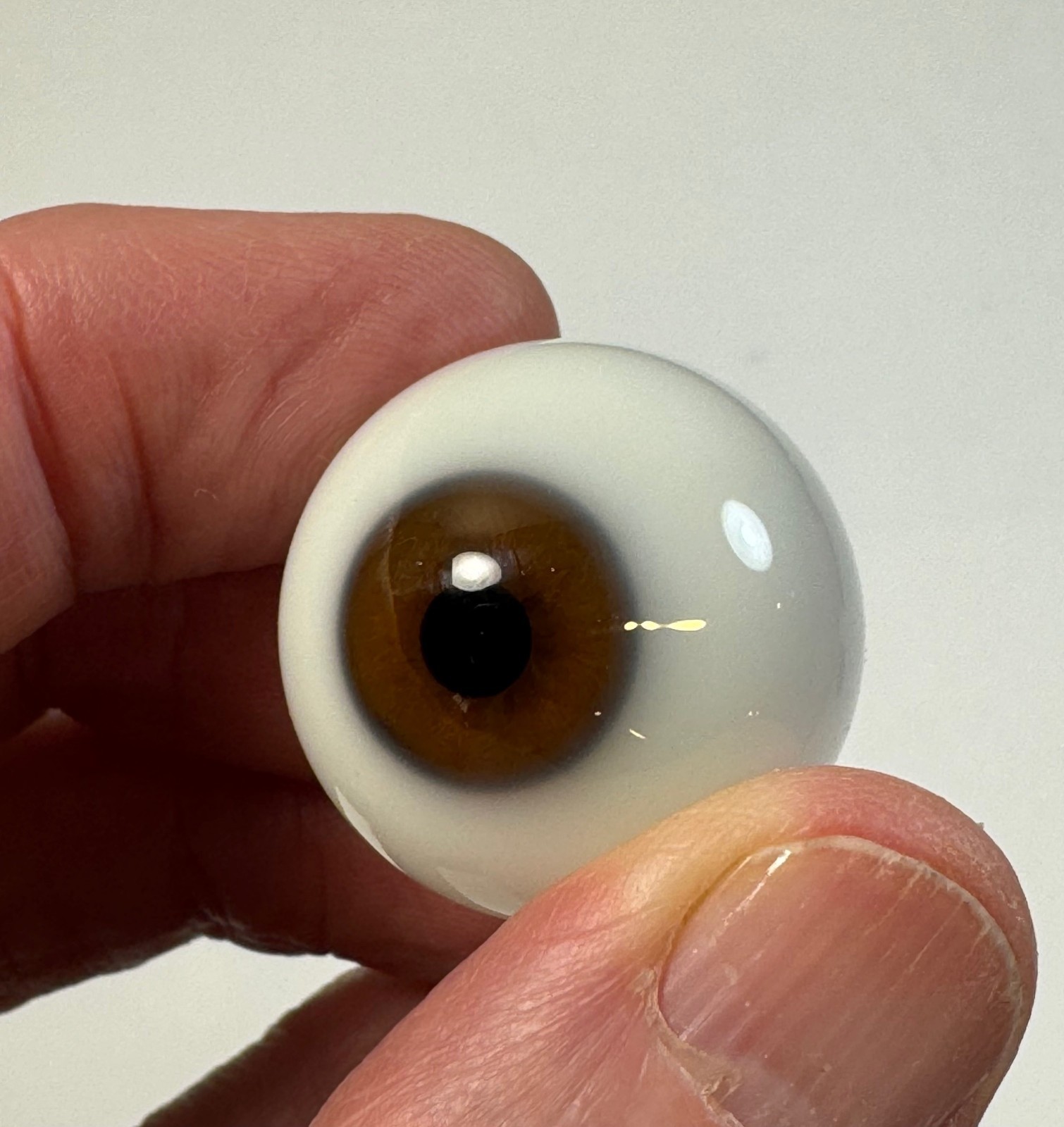 Antique German Hand-Blown Prosthetic Glass Eye, Brown, Used