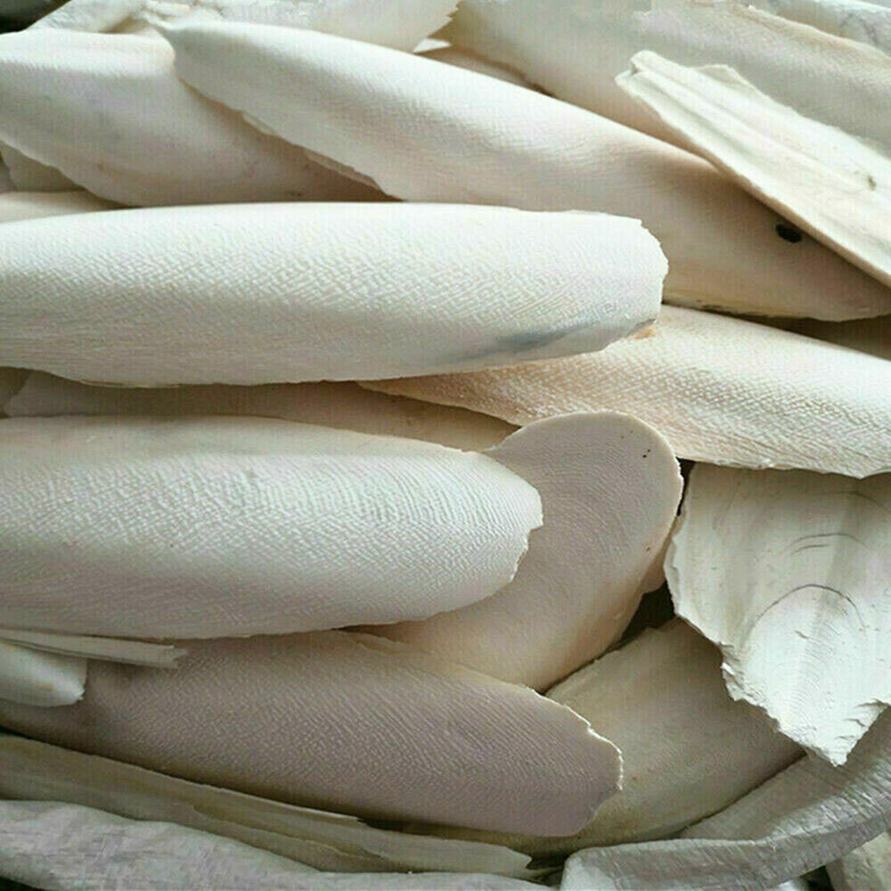 20 PCS Cuttlebone for Birds Parrot Chewing Cuttle Bone For Sharp Beaks USAA
