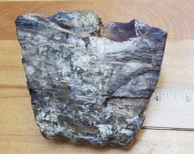 PETRIFIED WOOD 1.10 LBS