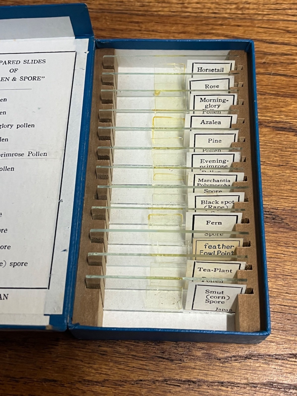 Vintage Tasco Microscope Slides Scientific Homeschool Lot Animals Plants Fibres