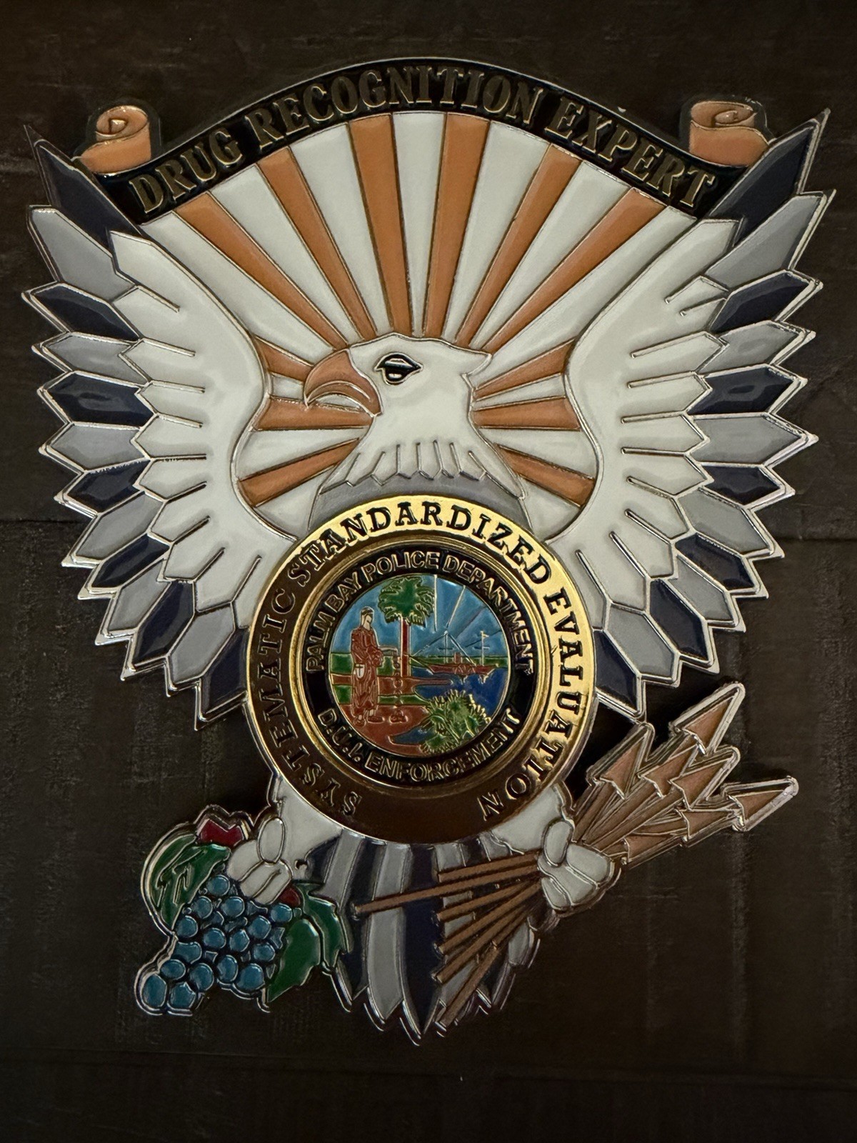 NEW Palm Bay Police DRE Law Enforcement Challenge Coin