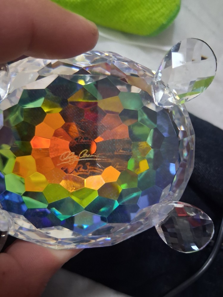 Real Crystal Turtle