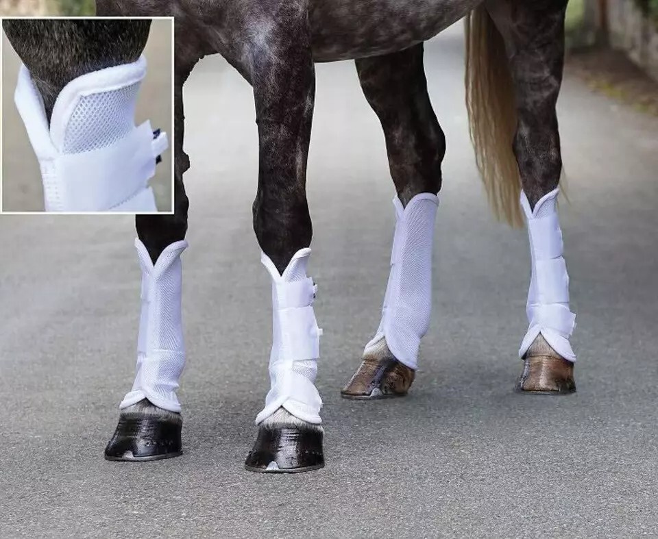 Shires ARMA Airflow Fly Turnout Socks Solid White (Pack of 4)