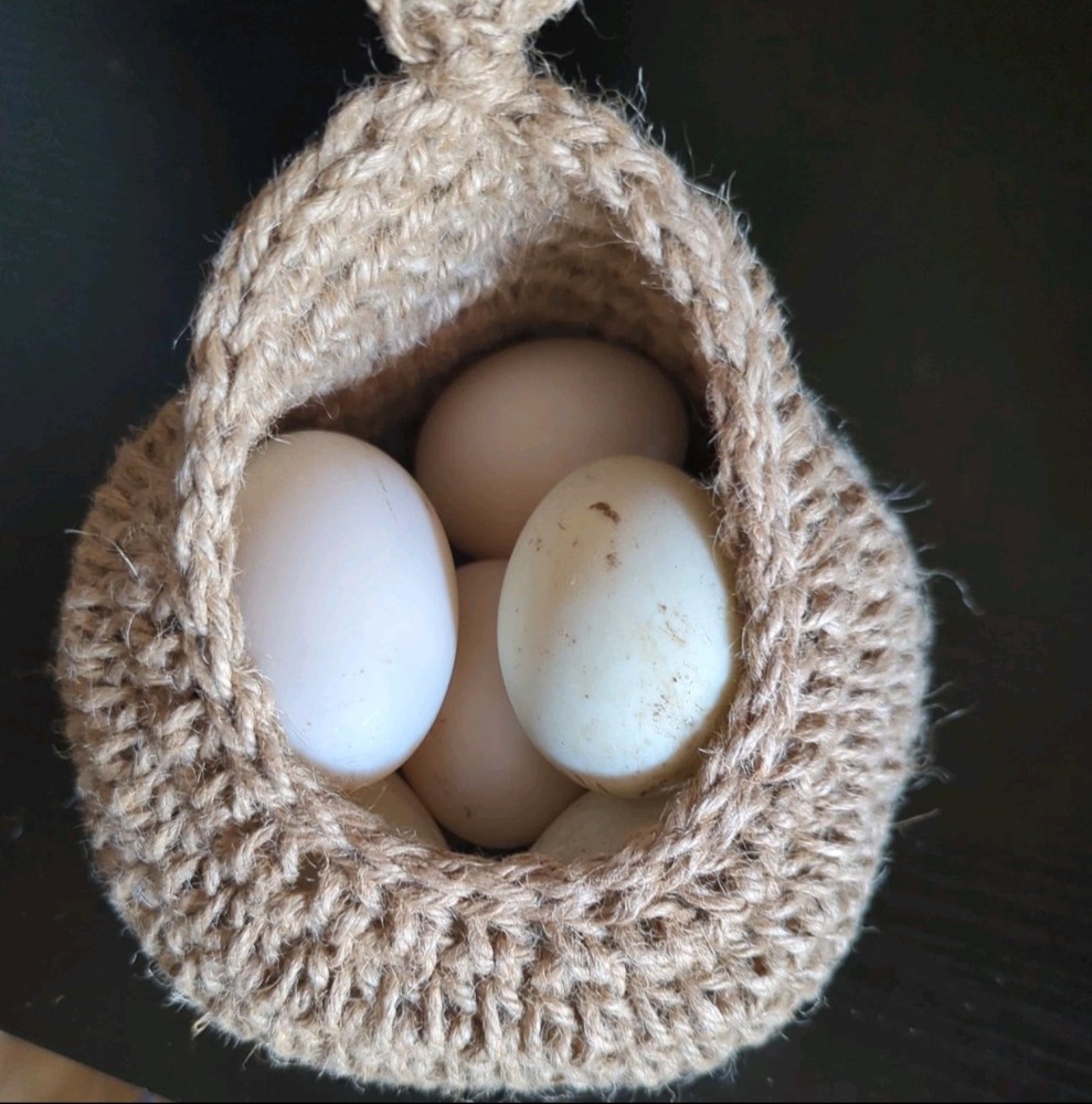 6 Duck Hatching Eggs- Domestic Barnyard Mix
