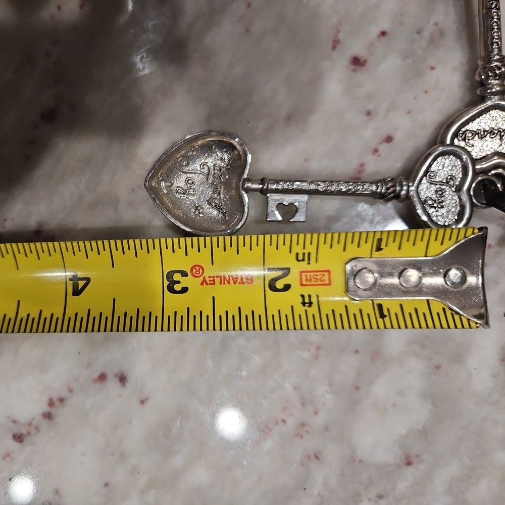 4 GANZ Collectible Measuring Spoons