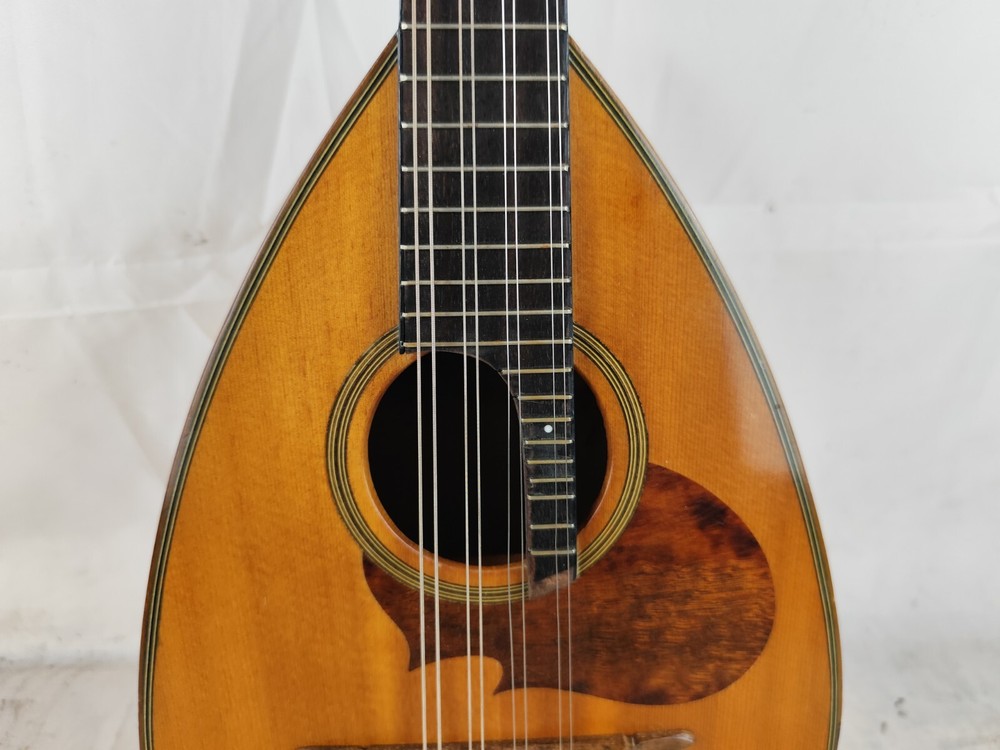 Mandolin 4/4 Raffaele Calace E Figlio 1954 Naples 曼陀林 만돌린マンドリン