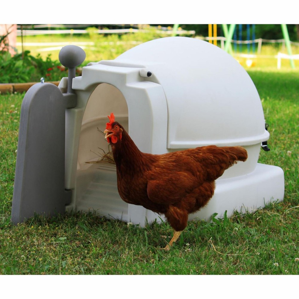 Good Ideas Mini Chicken Coop