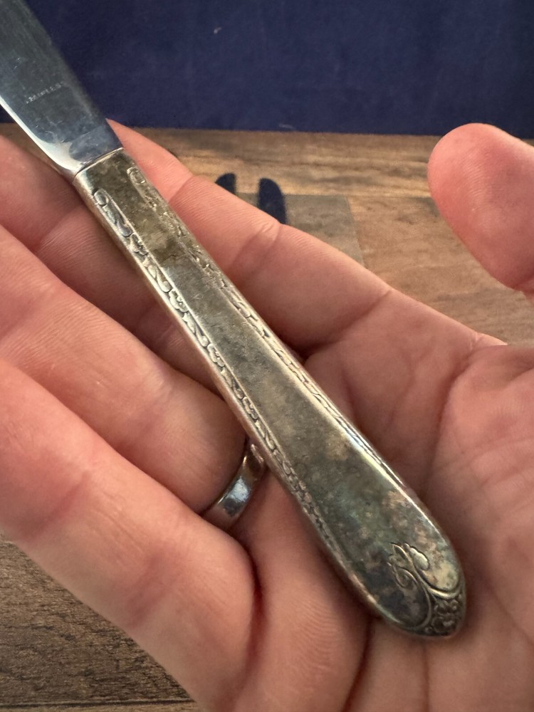 Lot of 4 Dinner Knife Knives Wm Rogers & Son Exquisite Pattern Silverplated