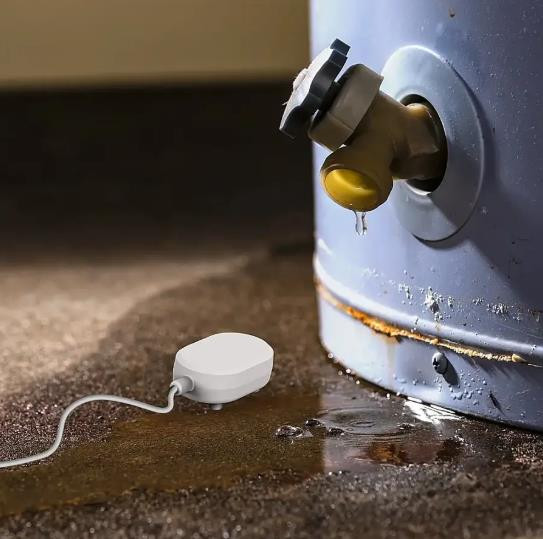 Swann - Wireless Leak Alert Sensor - White