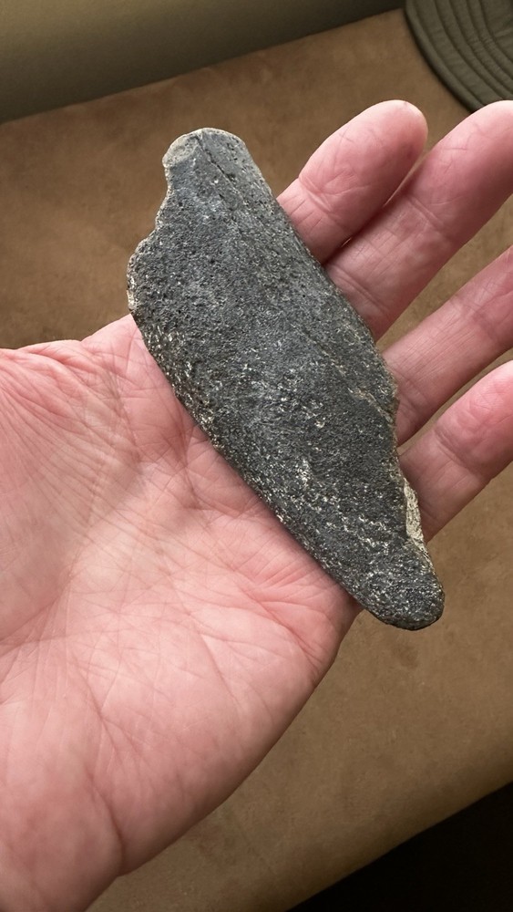 Fossil Rib Bone