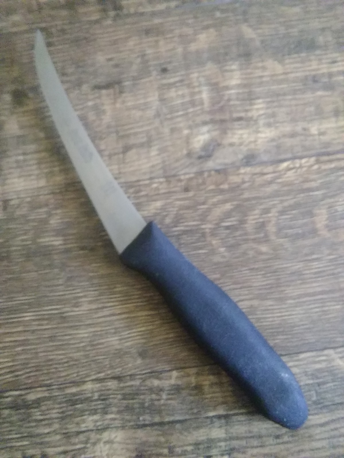 Dexter Russell Sani-Safe Boning Fillet Knife, boning St131-6