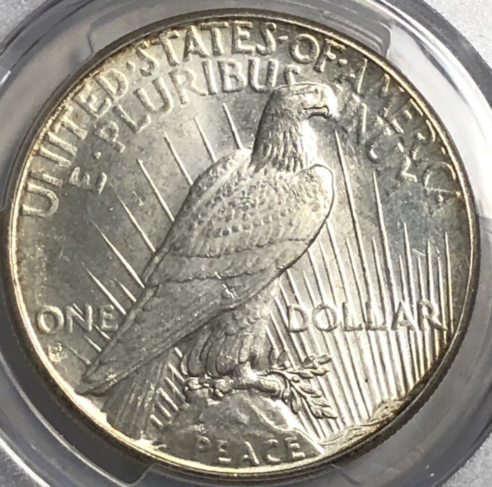 1926 S PEACE "PCGS GOLDHIELD MS61"- TONING🌈/ HIGH POINTS/ HAIR /PEACE/EAGLE💥 ✅