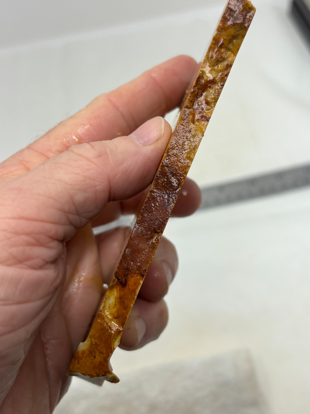 Disaster Peak Picture Jasper Slab Cabbing Lapidary Collecting Combo Ship Avail