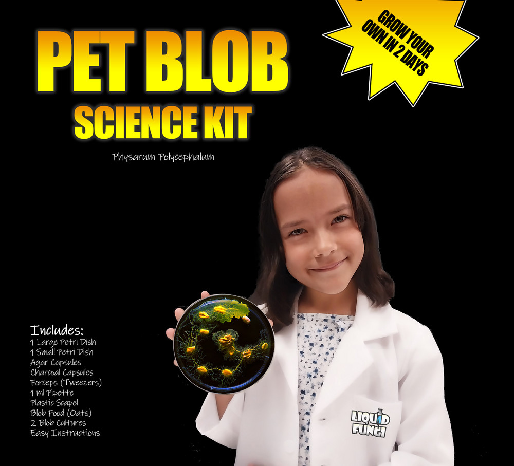 Pet Blob Home School Science Kit Complete with Tools & Instructions
