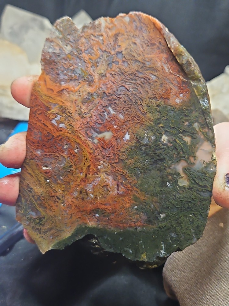 Murray Mountain Moss Agate Slab Specimen (14 oz)