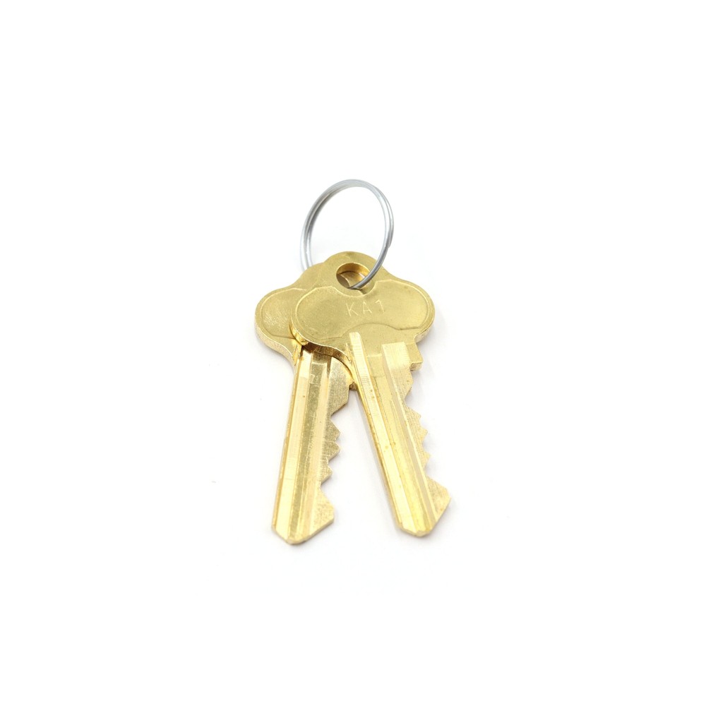 Tilt Door T Handle Rear Fixing