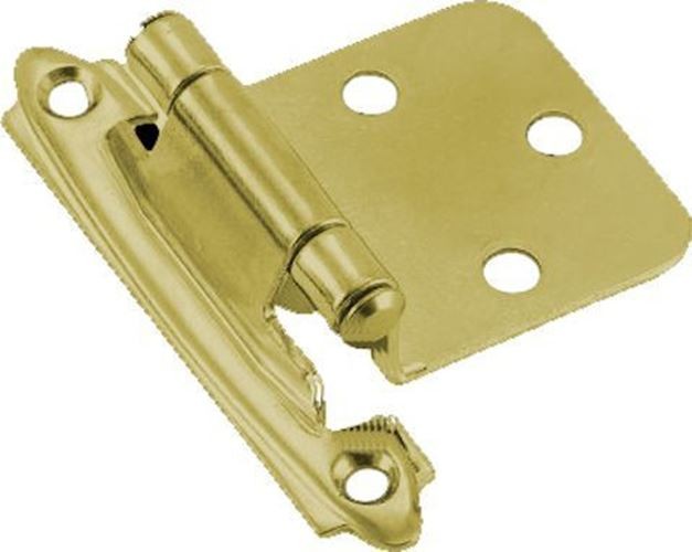 Pair Variable Overlay Bright Brass Self Closing Hinges