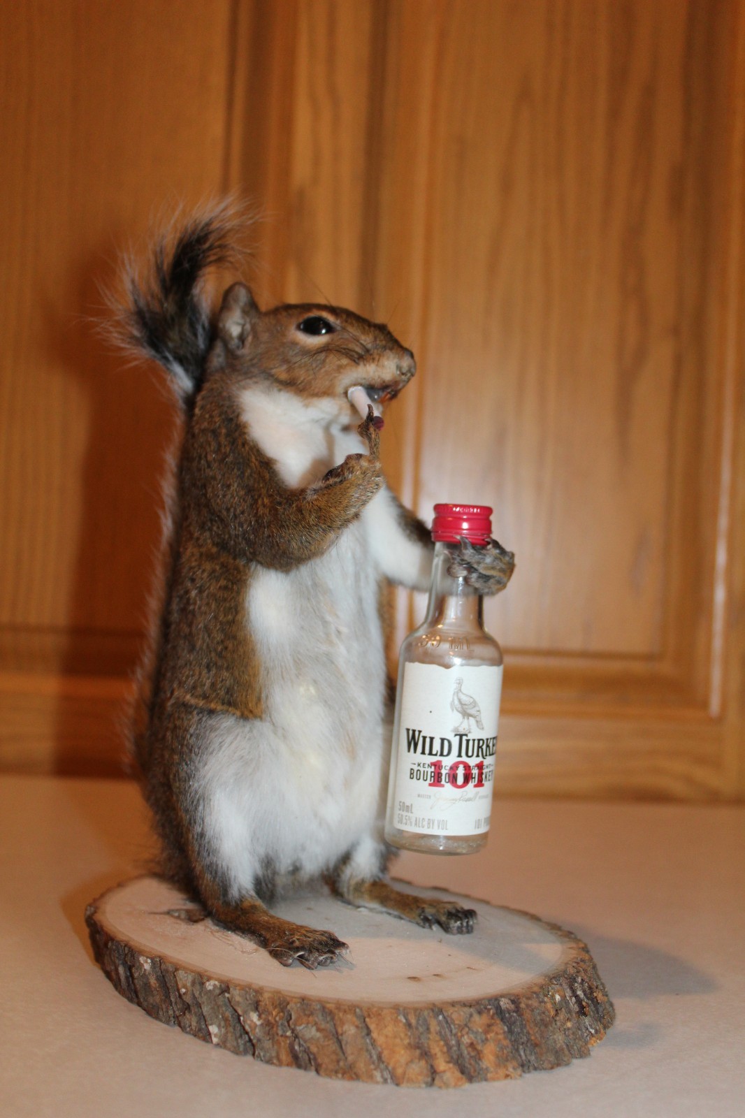 Taxidermy Naughty Squirrel Mount Novelty Present Whitetail Deer Log Cabin Decor