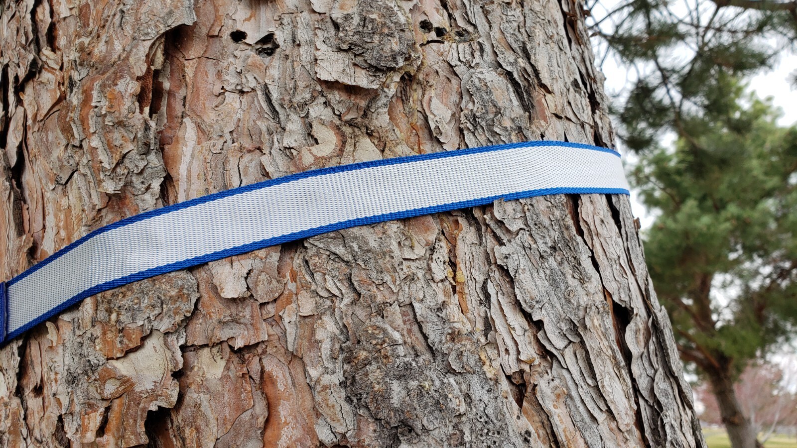 Hammock suspension straps hybrid polyester/dyneema full kit 2024