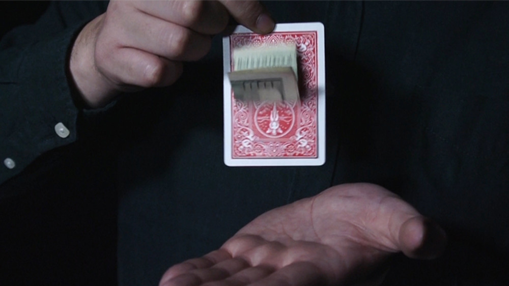 Visualize by Zamm Wong and Magiclism